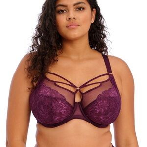 Elomi Brianna Cage Plunge Purple Lace Bra